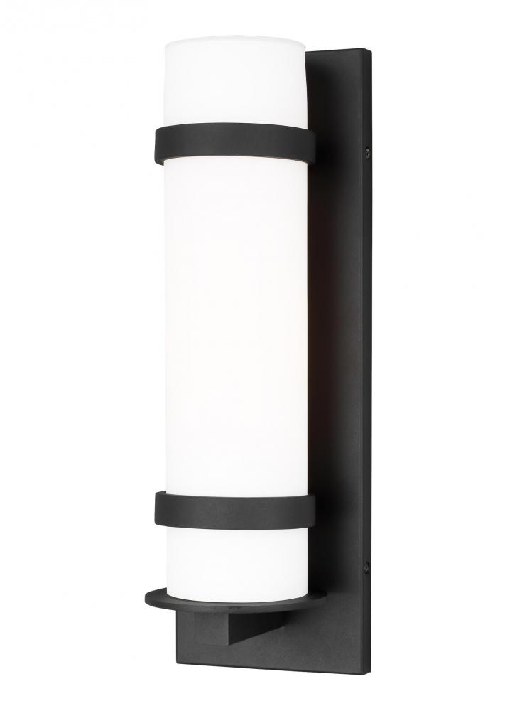 Alban Medium One Light Outdoor Wall Lantern