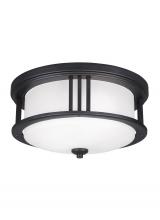Generation Lighting 7847902-12 - Crowell Two Light Outdoor Ceiling Flush Mount