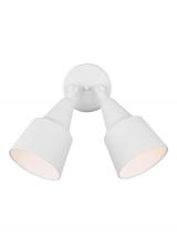 Generation Lighting 8560702-15 - Two Light Adjustable Swivel Flood Light