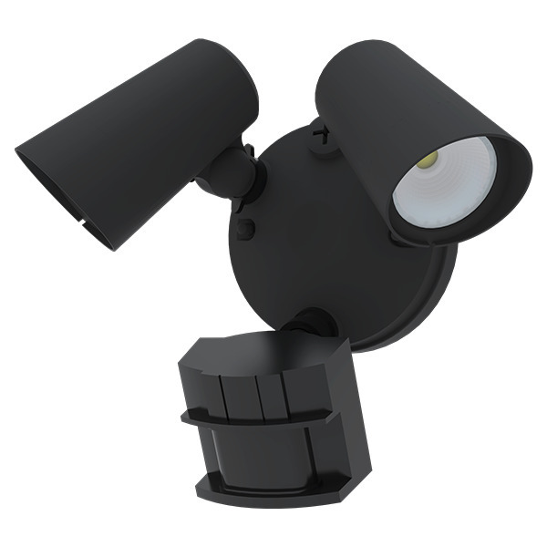 FORA SECURITY DUAL HEAD WITH MOTION SENSOR
