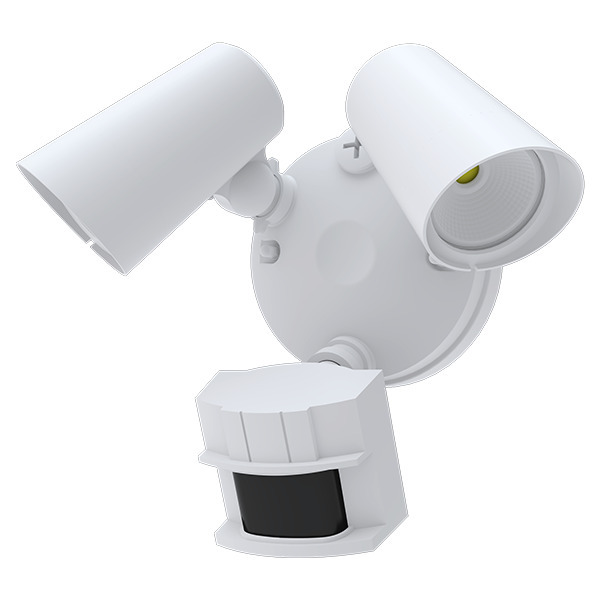 FORA SECURITY DUAL HEAD