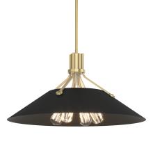 Hubbardton Forge 136340-SKT-MULT-86-10 - Henry Pendant