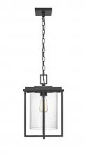 Millennium 42625-PBK - Outdoor Hanging Lantern