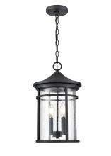 Millennium 91342-TBK - Outdoor Hanging Lantern