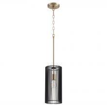 Quorum 817-1-80 - FINURA 14" PEND - AGB