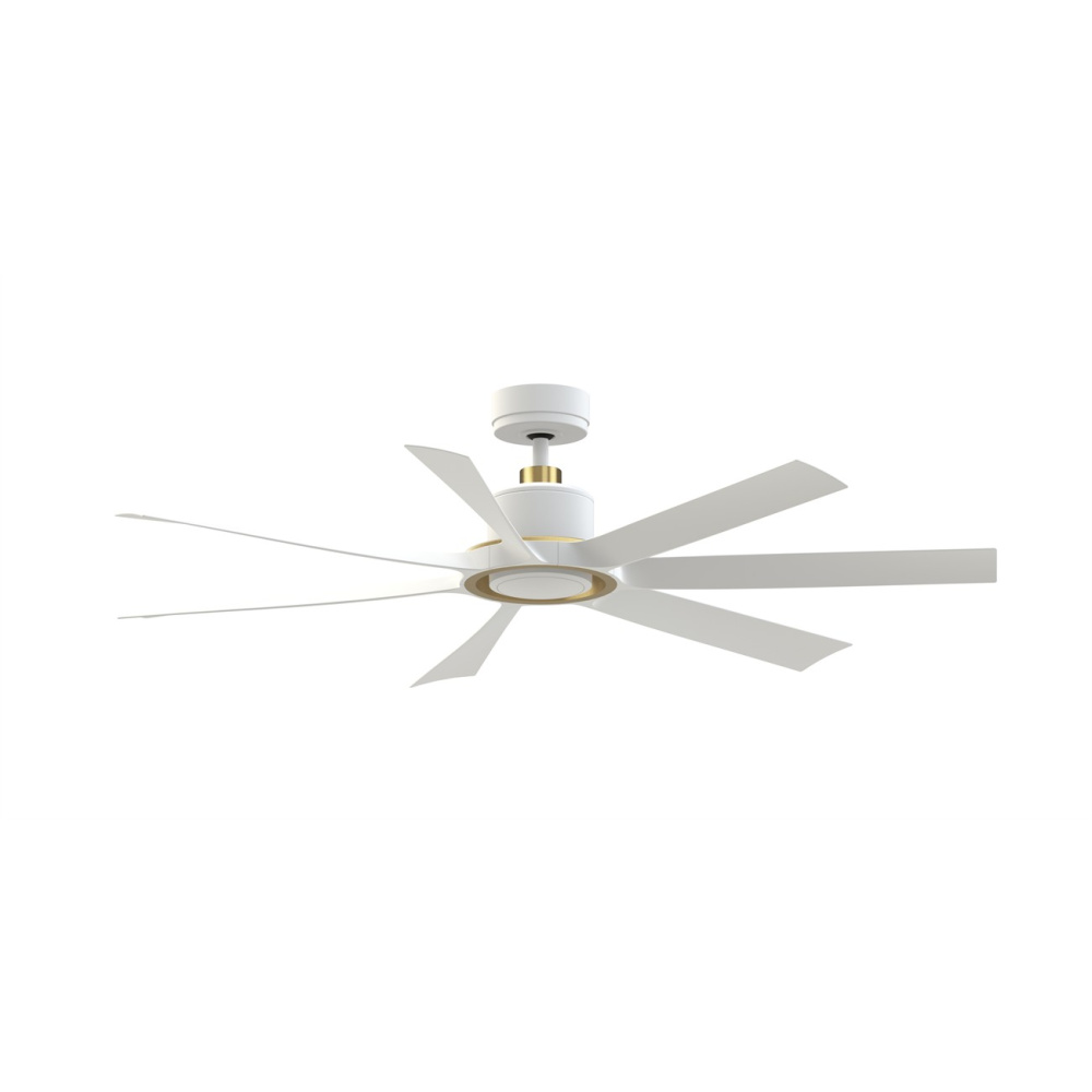Lenzi 60 inch Indoor/Outdoor Ceiling Fan with LED Light Kit