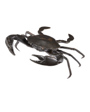 Currey 1200-0957 - Crab Bronze