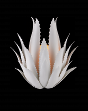 Currey 5000-0259 - Agave Wall Sconce